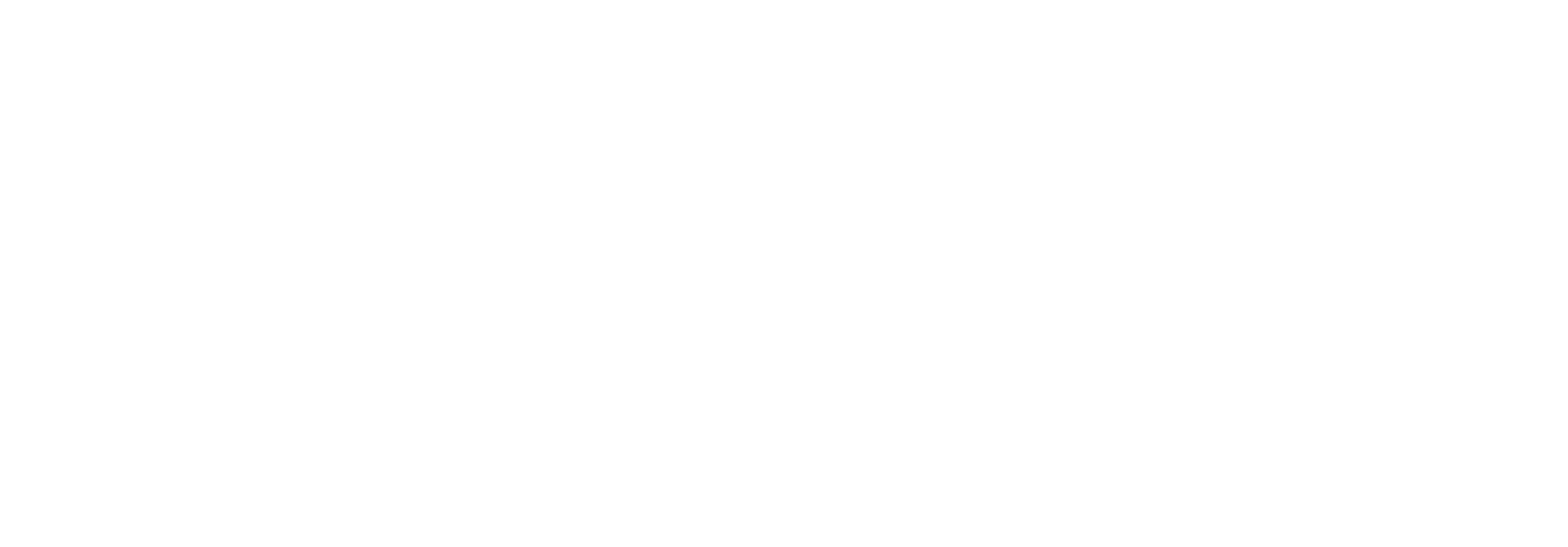 Organiza: Photographic Social Vision
