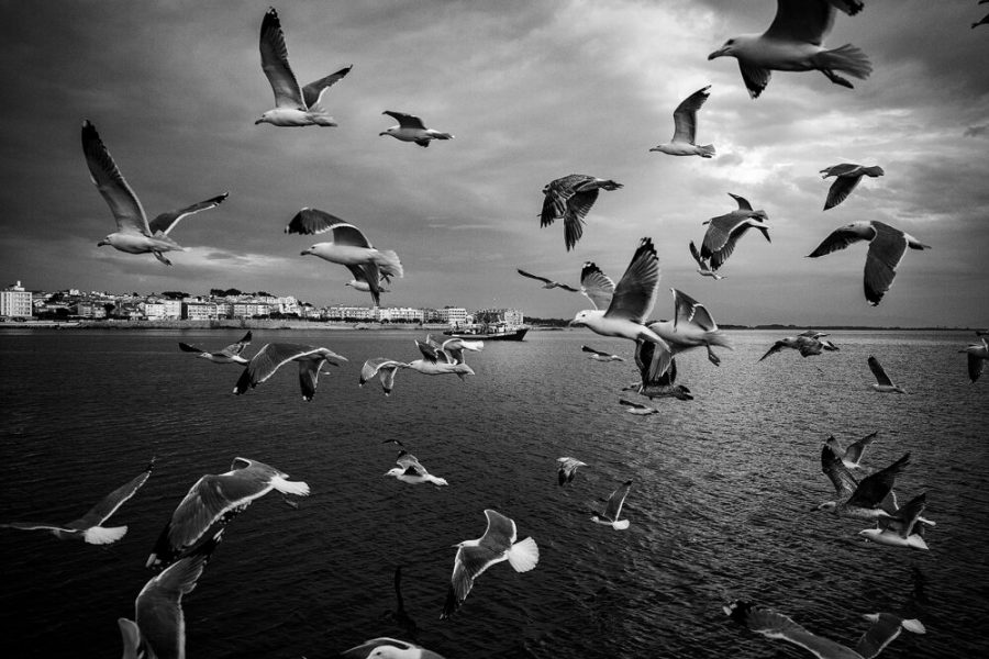 Photographic Social Vision - Carles Palacio i Berta