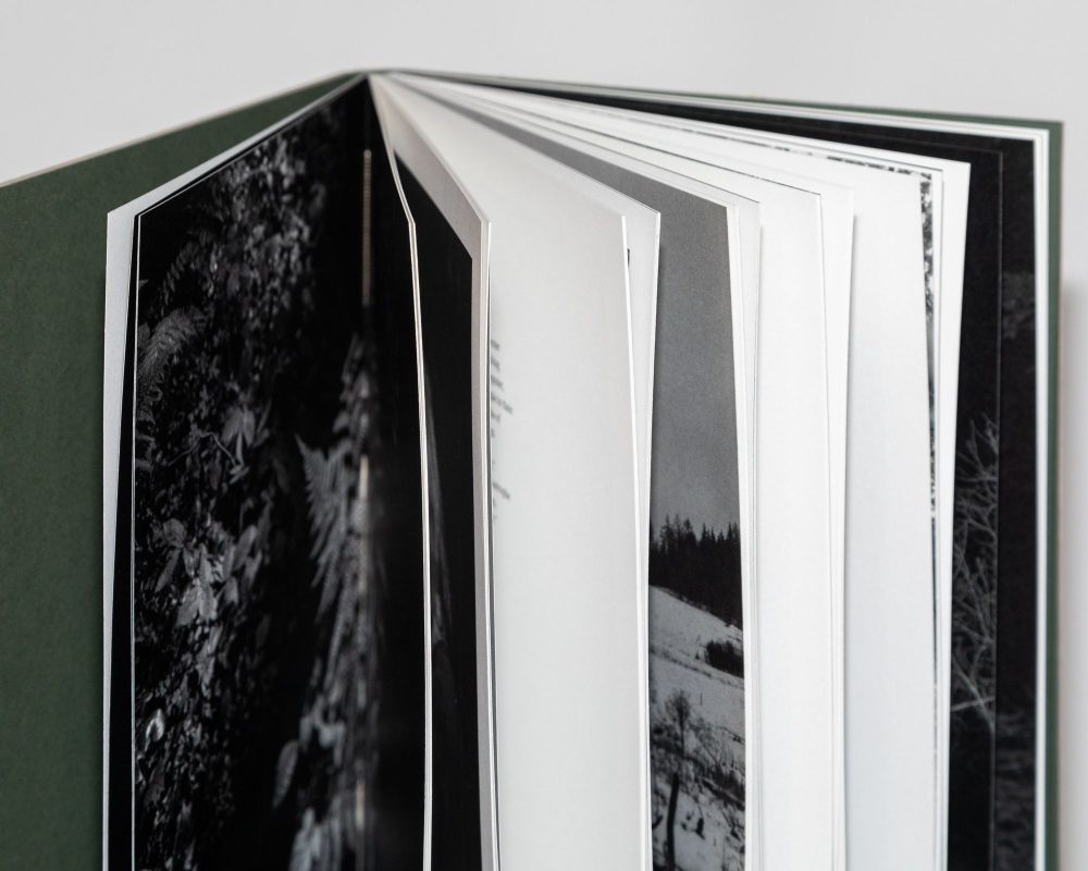Photographic Social Vision - PSV_Premio-Star-award_Devils-Rib_01