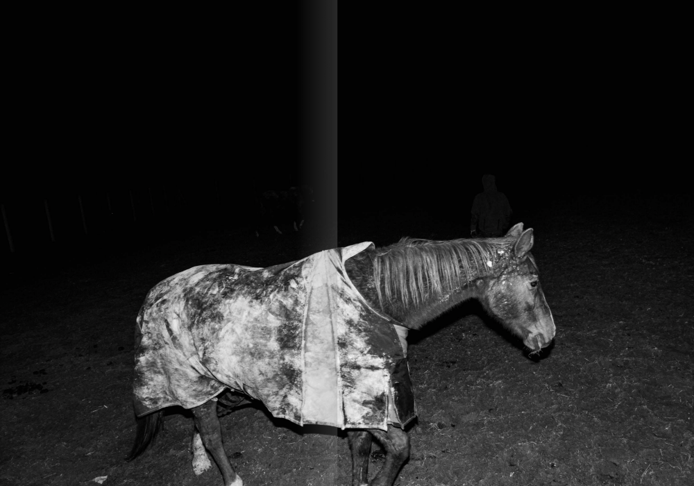 Photographic Social Vision - PSV_Premio-Star-award_Devils-Rib_03