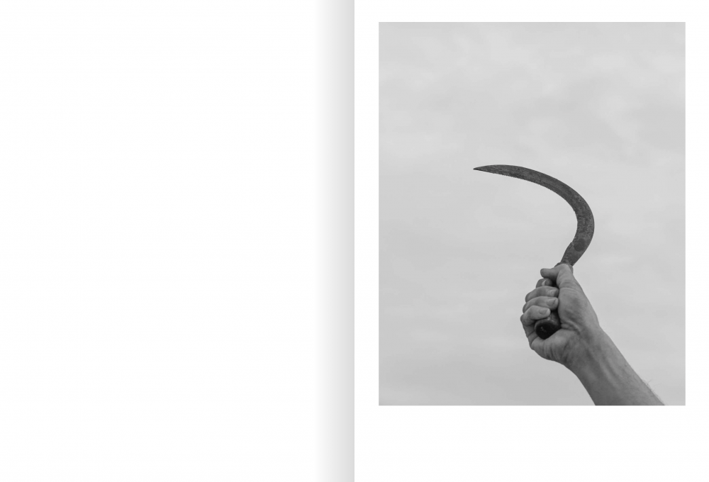 Photographic Social Vision - PSV_Premio-Star-award_Devils-Rib_05