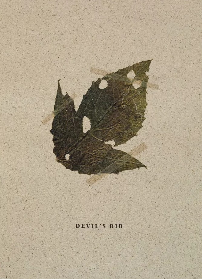 Photographic Social Vision - PSV_Premio-Star-award_Devils-Rib_book