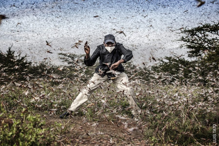 Photographic Social Vision - Una documentalista i tres fotoperiodistes nacionals nominats als World Press Photo 2021