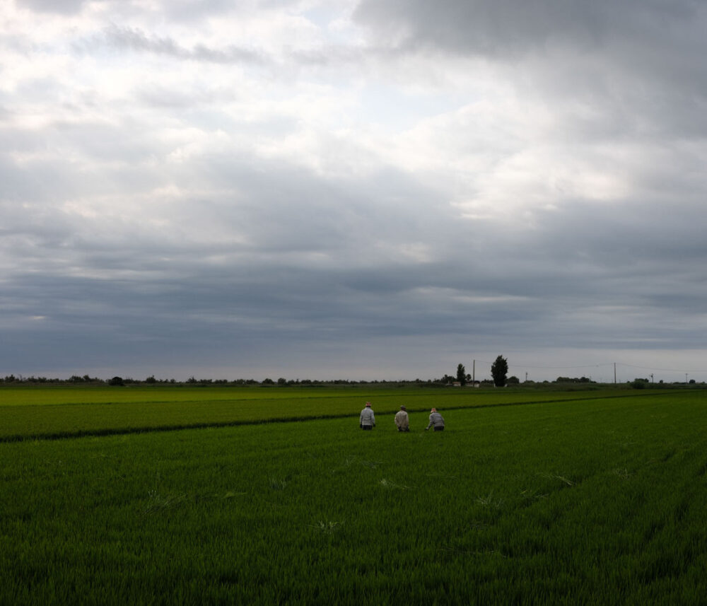 Photographic Social Vision - Delta