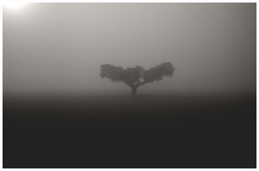Photographic Social Vision - A.-Passerat-5