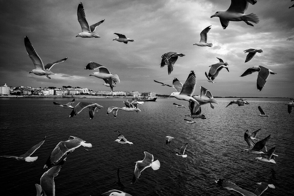 Photographic Social Vision - CPALACIOB-01-PSV-e1746711947932