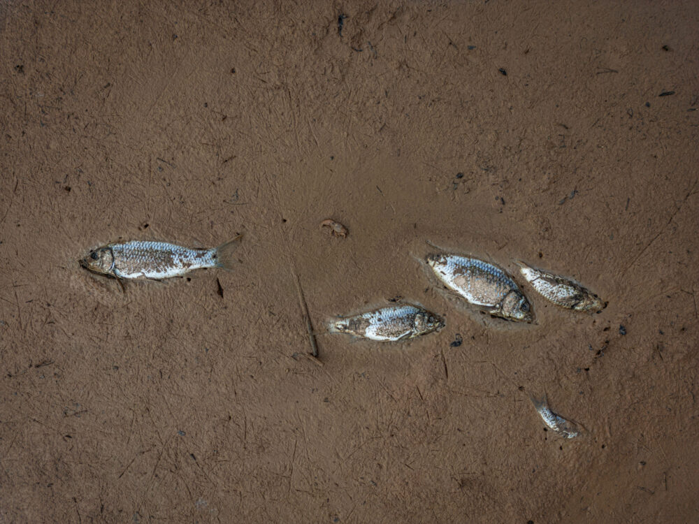 Photographic Social Vision - DJI_0367-scaled-e1720781024130