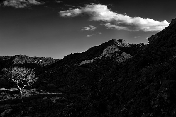 Photographic Social Vision - DanielLoewe_61645-1