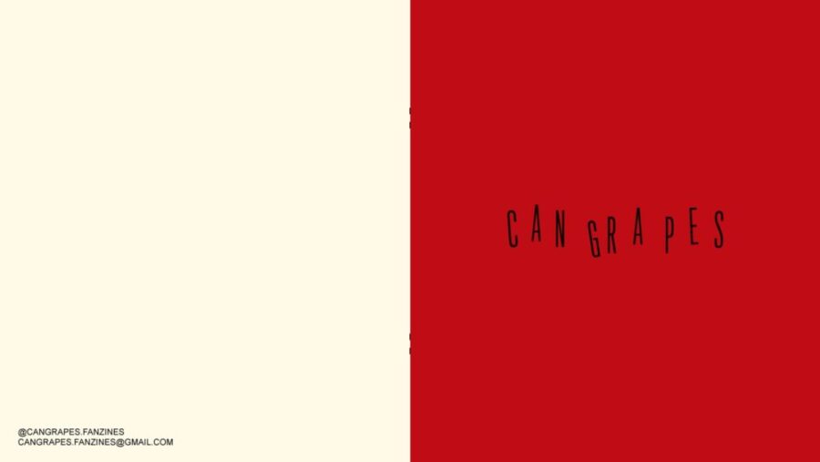 Photographic Social Vision - Can Grapes