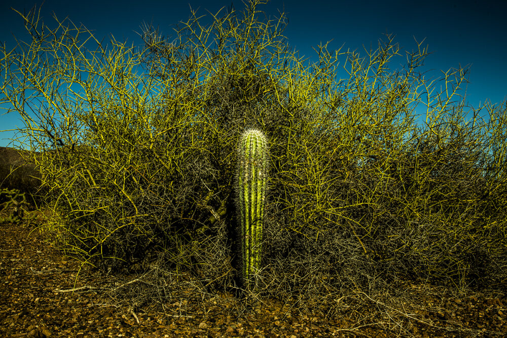 Photographic Social Vision - Hijos del Sol
