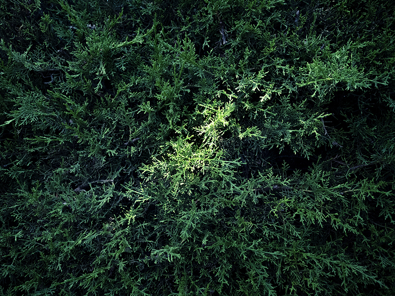 Photographic Social Vision - OLYMPUS DIGITAL CAMERA