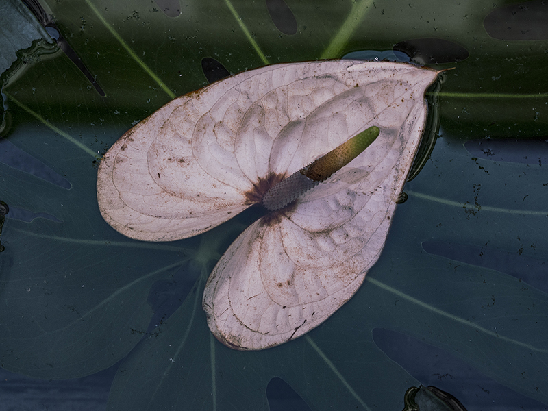 Photographic Social Vision - OLYMPUS DIGITAL CAMERA