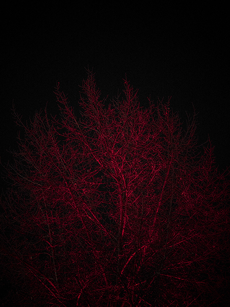 Photographic Social Vision - OLYMPUS DIGITAL CAMERA
