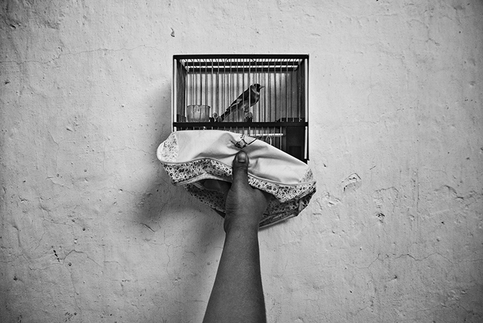 Photographic Social Vision - Vestigium