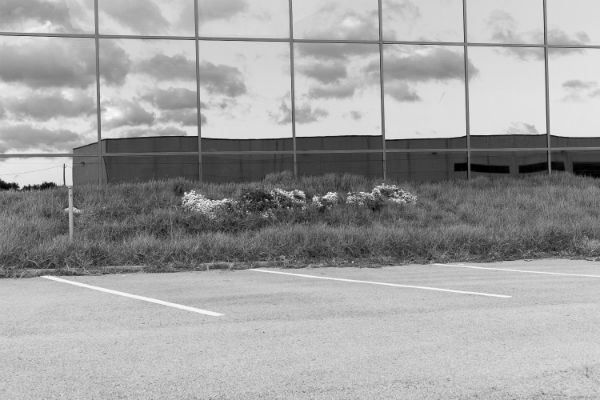 Photographic Social Vision - Zilveti-4