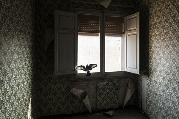 Photographic Social Vision - alta-catalunya-restauracion-01