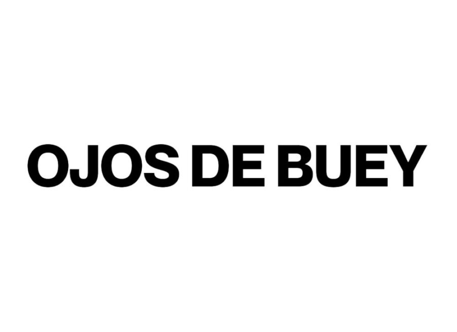Photographic Social Vision - Ojos de buey