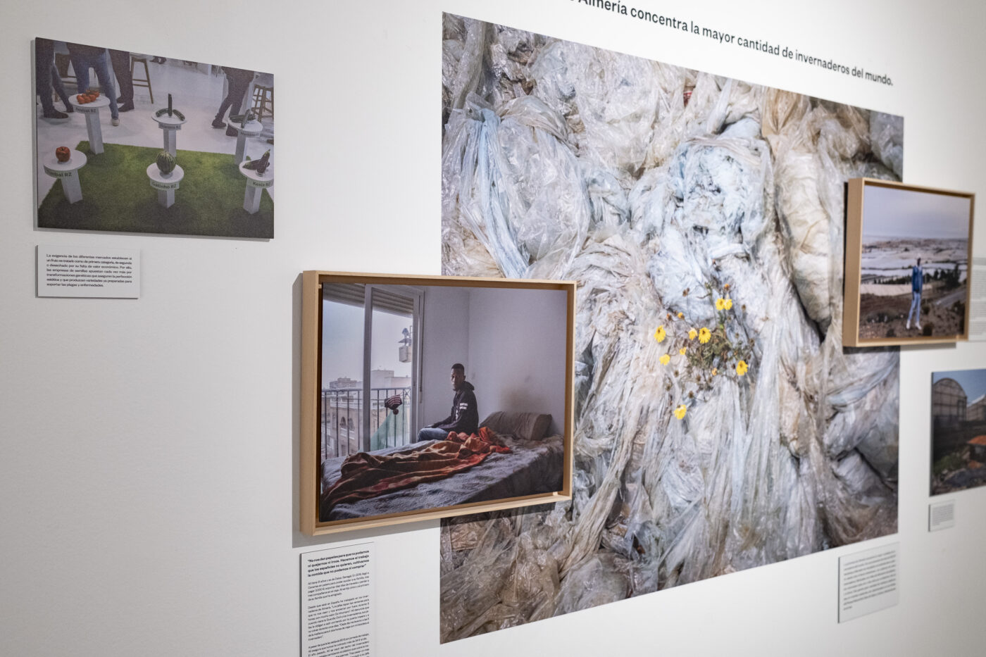 Photographic Social Vision - HQLTA_EFTI-10