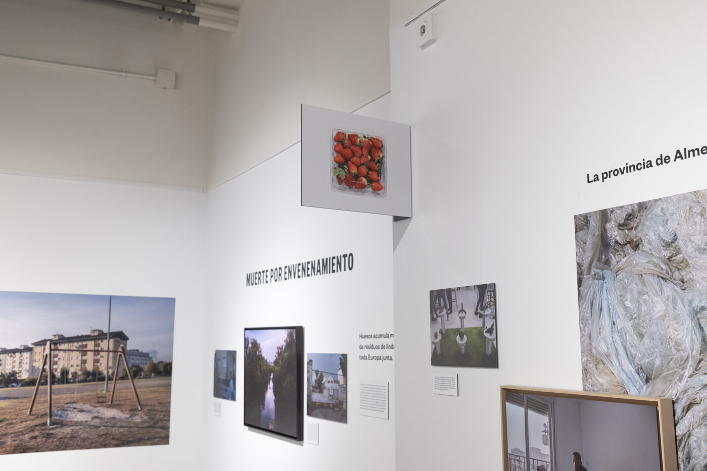 Photographic Social Vision - HQLTA_EFTI-5