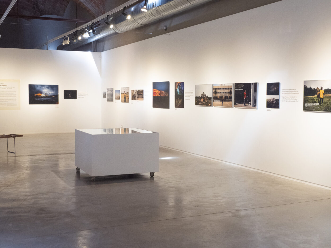 Photographic Social Vision - OLYMPUS DIGITAL CAMERA