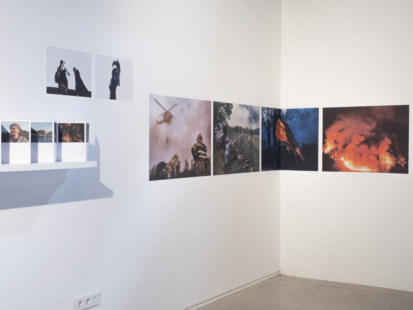 Photographic Social Vision - OLYMPUS DIGITAL CAMERA