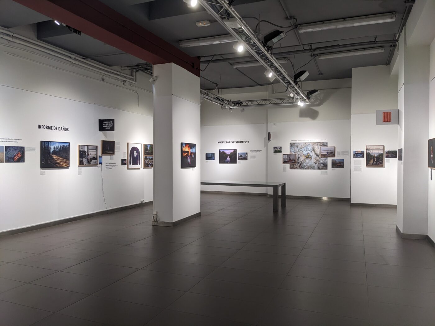 Photographic Social Vision - PXL_20230623_074214444