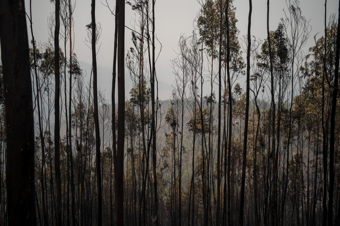 Photographic Social Vision - Goncalo Fonseca_0064