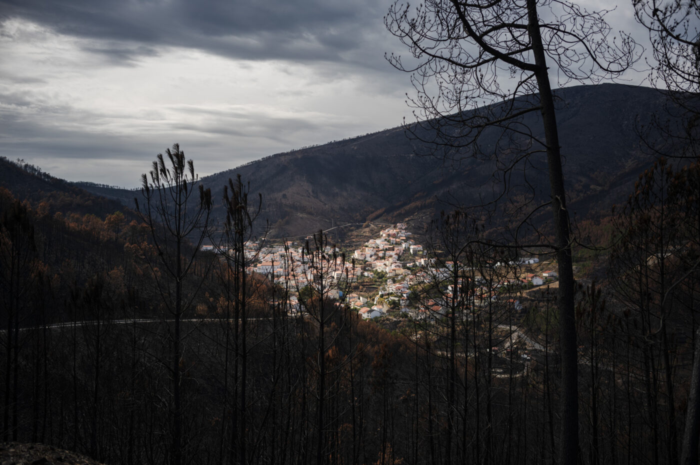 Photographic Social Vision - Goncalo Fonseca_0067