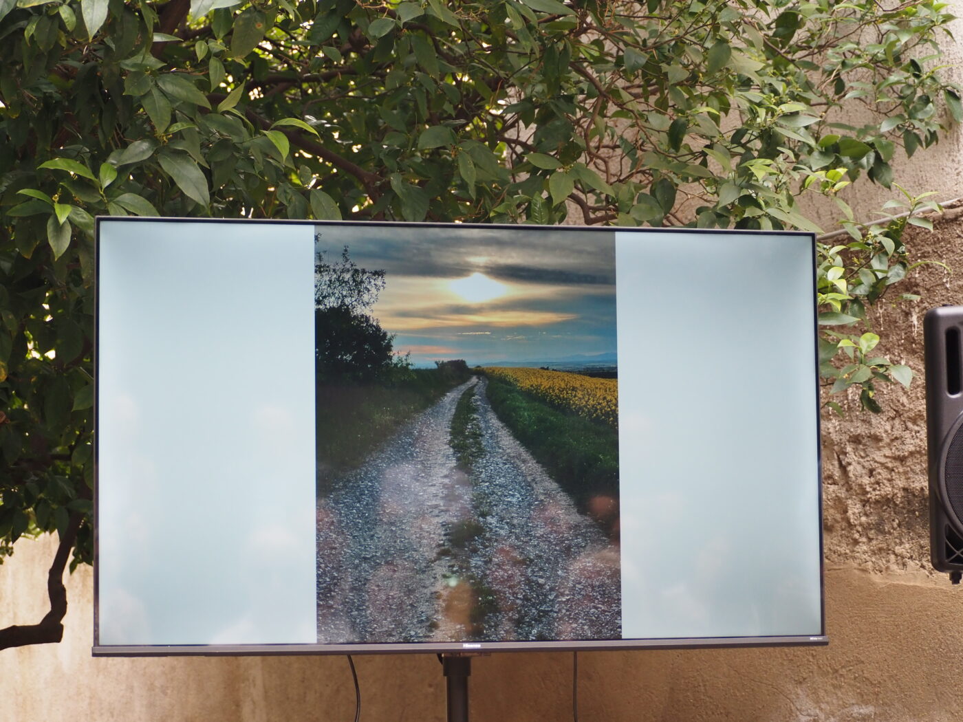 Photographic Social Vision - P5260179