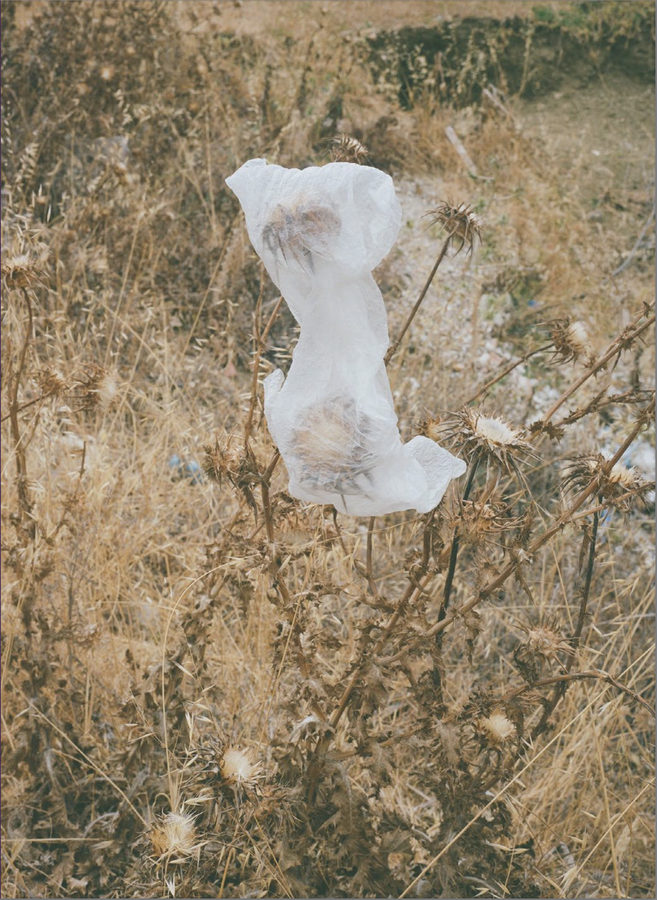 Photographic Social Vision - Myriam Meloni guanya el the VI Star Photobook Dummy Award