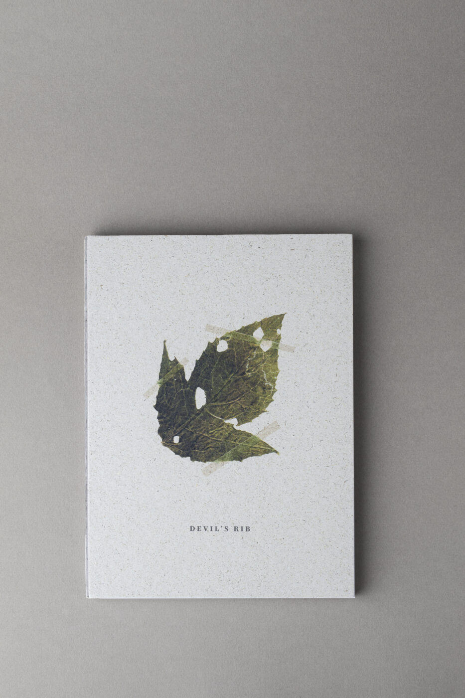 Photographic Social Vision - 02_DR_cover