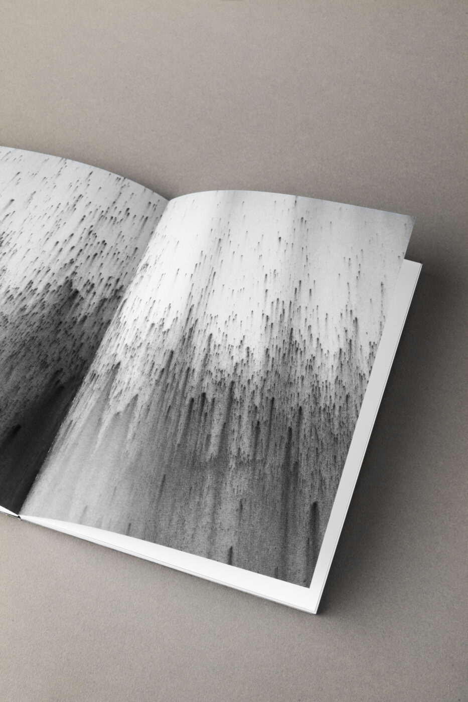 Photographic Social Vision - 03_DR_photobook