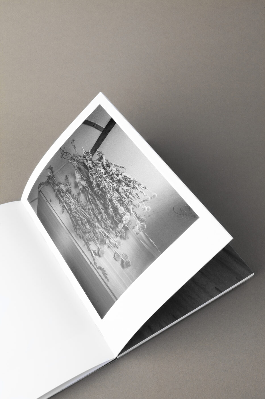Photographic Social Vision - 05_DR_photobook