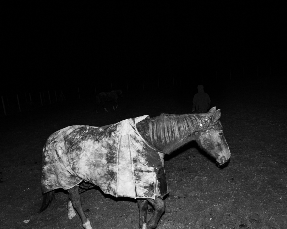 Photographic Social Vision - 07_DR_artwork