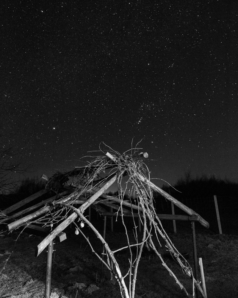 Photographic Social Vision - 08_DR_artwork
